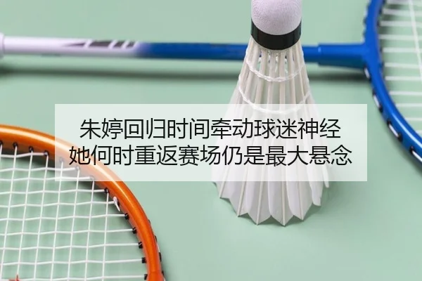 img_1780363867401_26_2_406.jpg